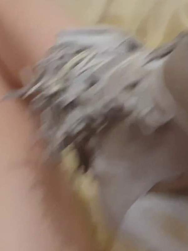 Ich habe lange darauf gewartet bis ich endlich mal einen Dildo bekommen habe